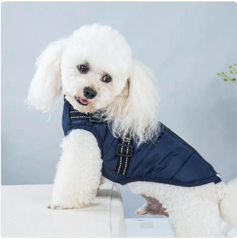 Padded Winter Vest for Dogs