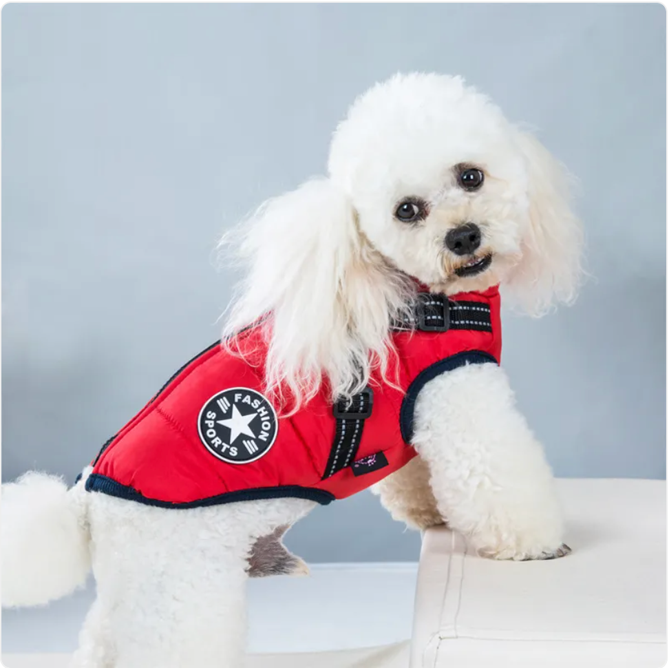 Padded Winter Vest for Dogs