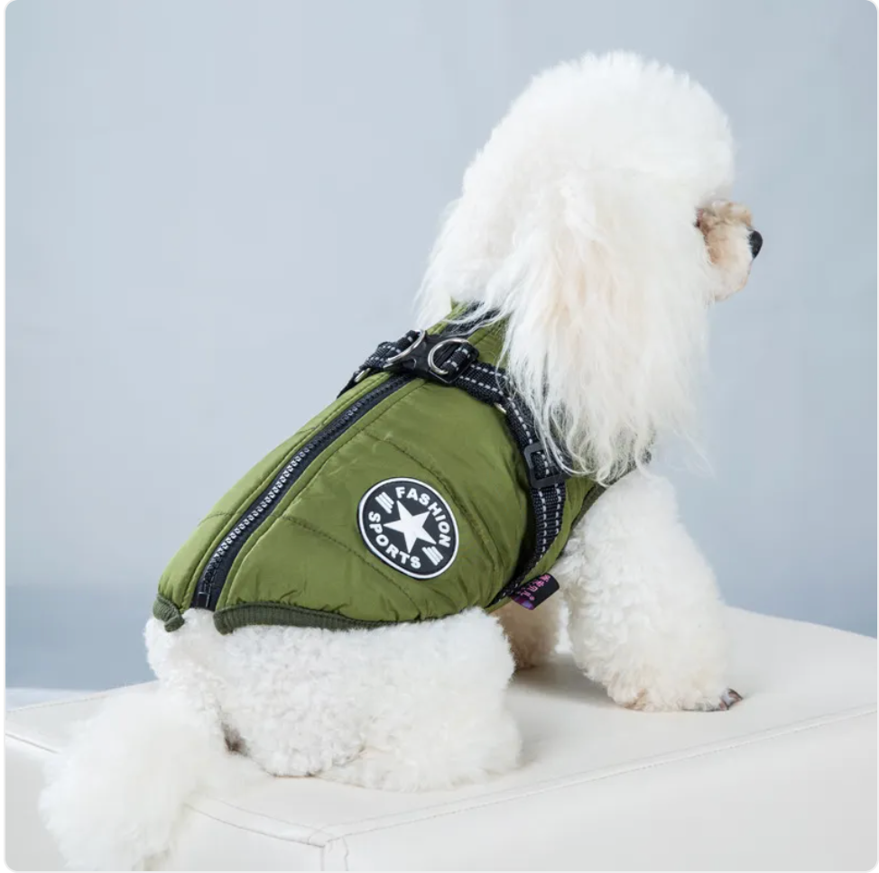 Padded Winter Vest for Dogs