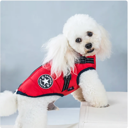 Padded Winter Vest for Dogs