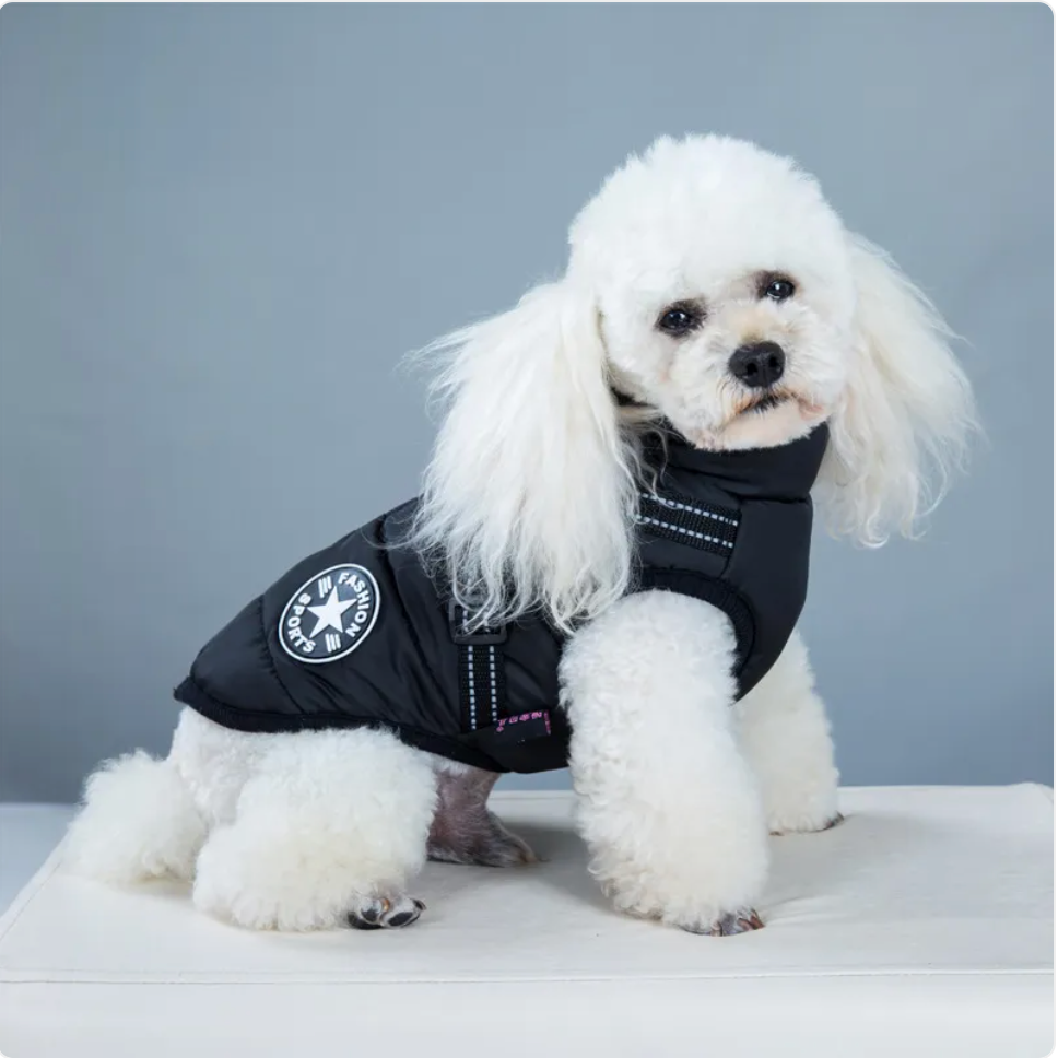Padded Winter Vest for Dogs