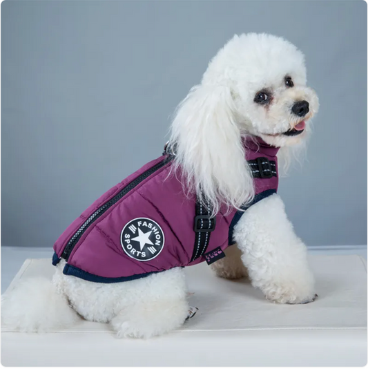 Padded Winter Vest for Dogs